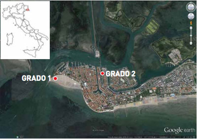 Fig. 1 - Ubicazione dei pozzi Grado1 e Grado 2 sull’isola di Grado